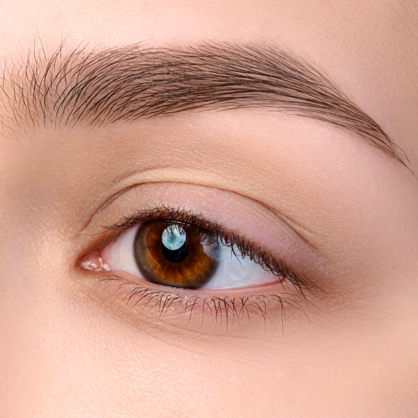 ombre brow online course