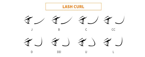 lash curl