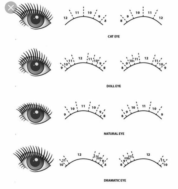 lash mapping for beginners